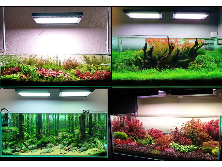 WEEK AQUA A430Pro LED Aquarium - Marine Aquarium Uv reseña y precio