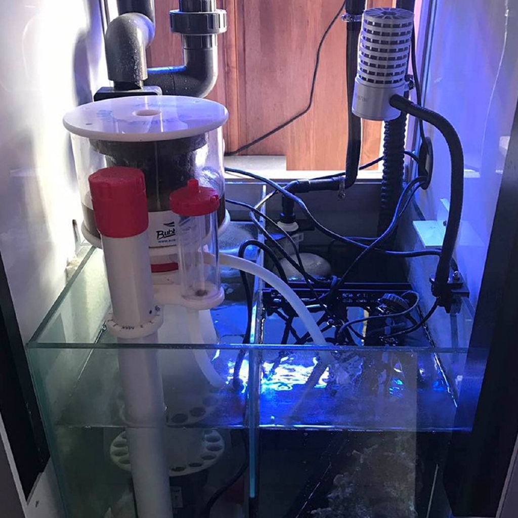220V Bubble Magus Curve5 Aquar - Protein Skimmer Hang On reseña y precio