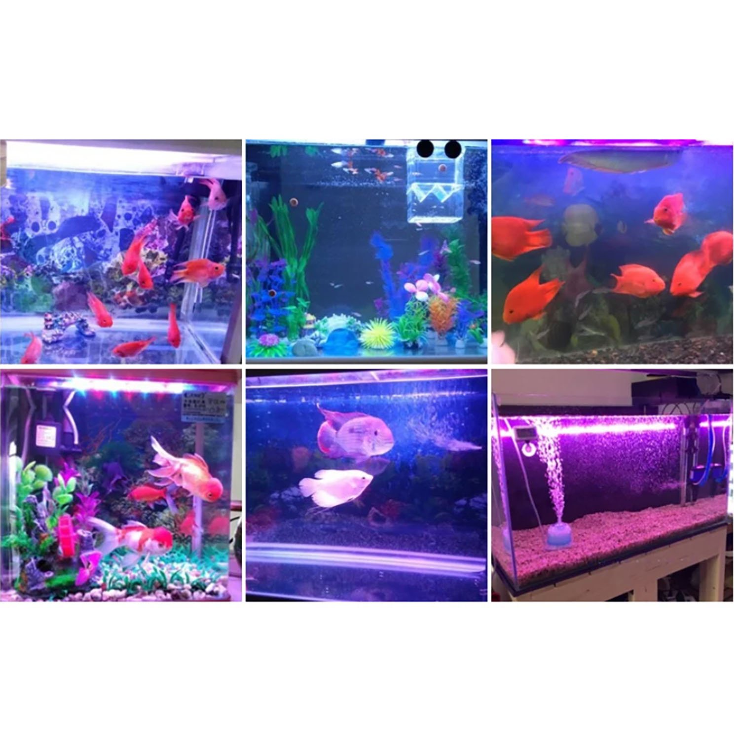 50W 60W 70W 100W RGB 26-28V Hi - Marine Aquarium Uv reseña y precio