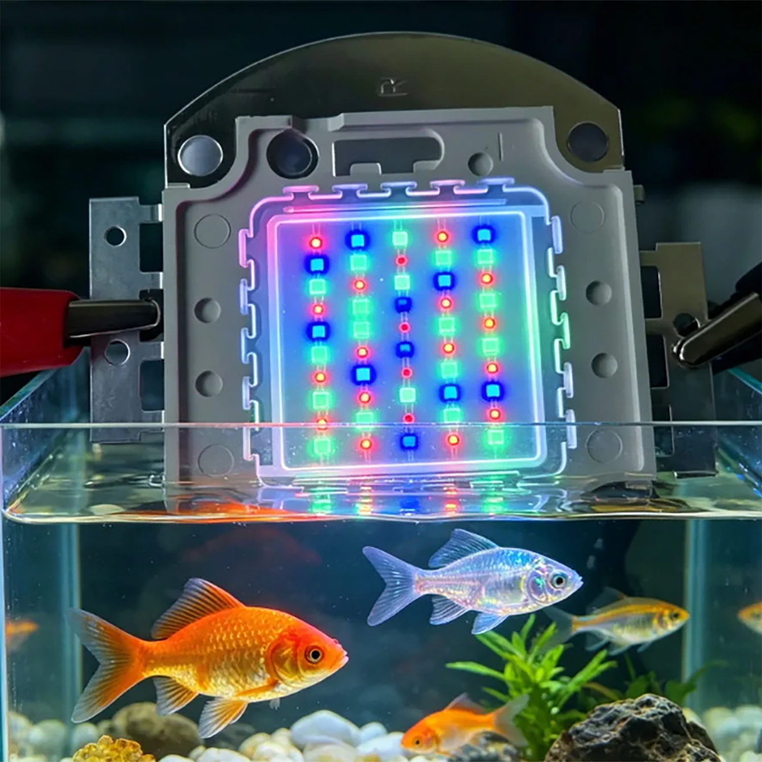 50W 60W 70W 100W RGB 26-28V Hi - Marine Aquarium Uv reseña y precio